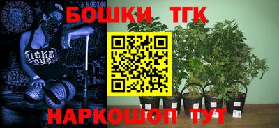 круглые Гусев