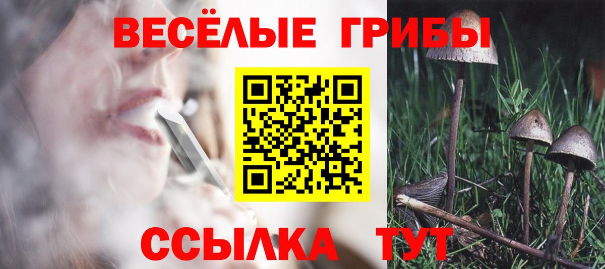 Лангепас  Псилоцибиновые грибы Psilocybe  Вход с VPN 